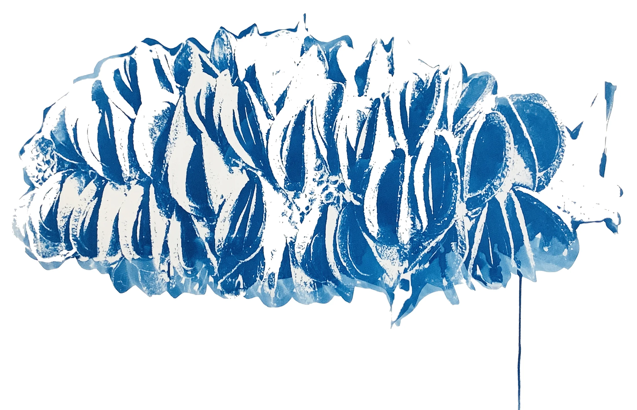 Pomme de pin, cyanotype - Brigit Ber